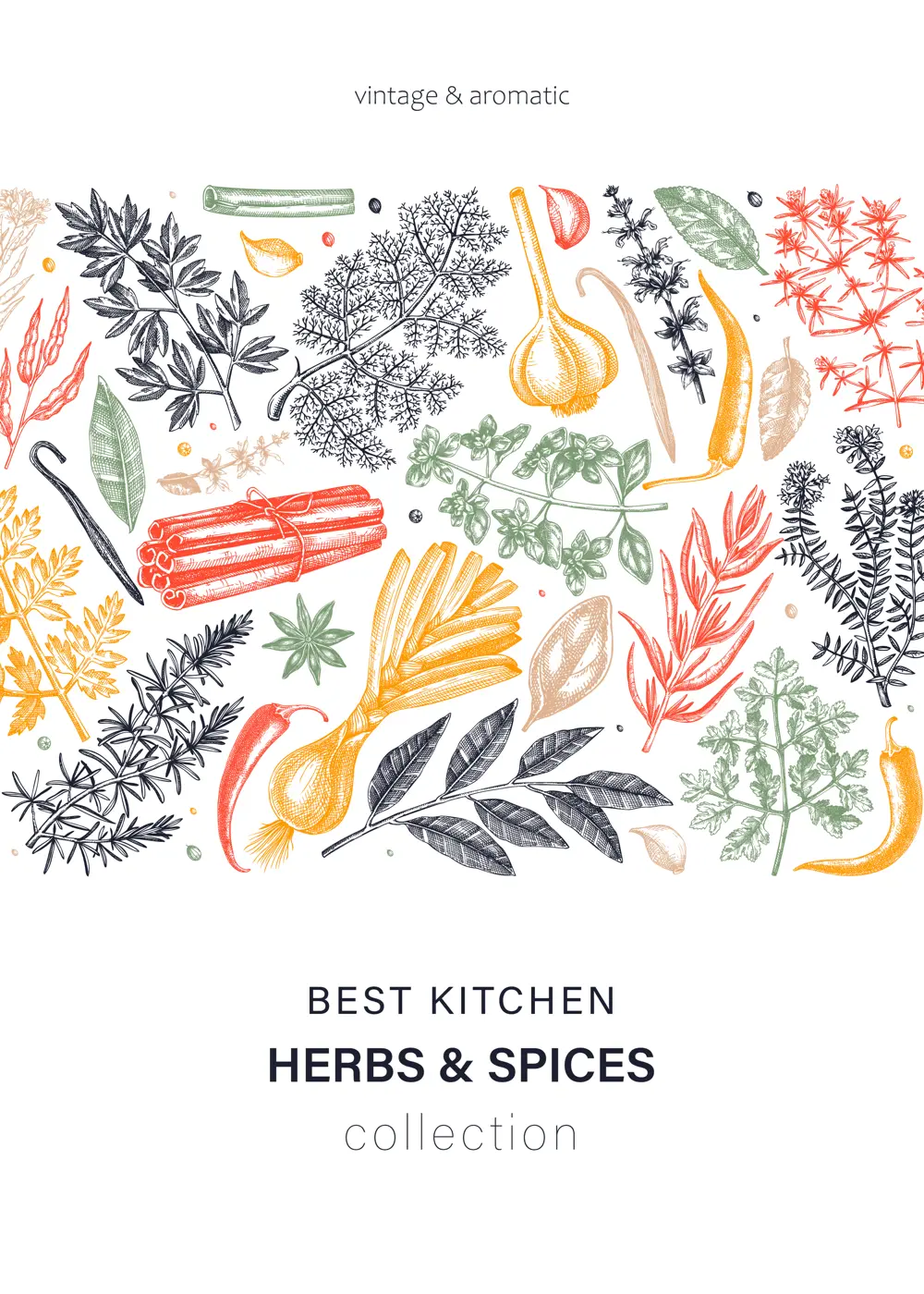 Hand-drawn herbs and spices vector card in color. Hand-sketched food illustration. Aromatic plant drawings. Kitchen herbs and spice frame template in sketched style for packaging, menu, banners Illustration